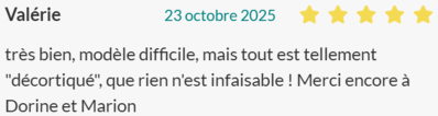 très bien, modèle difficile, mais tout est tellement "décortiqué", que rien n'est infaisable ! Merci encore à Dorine et Marion